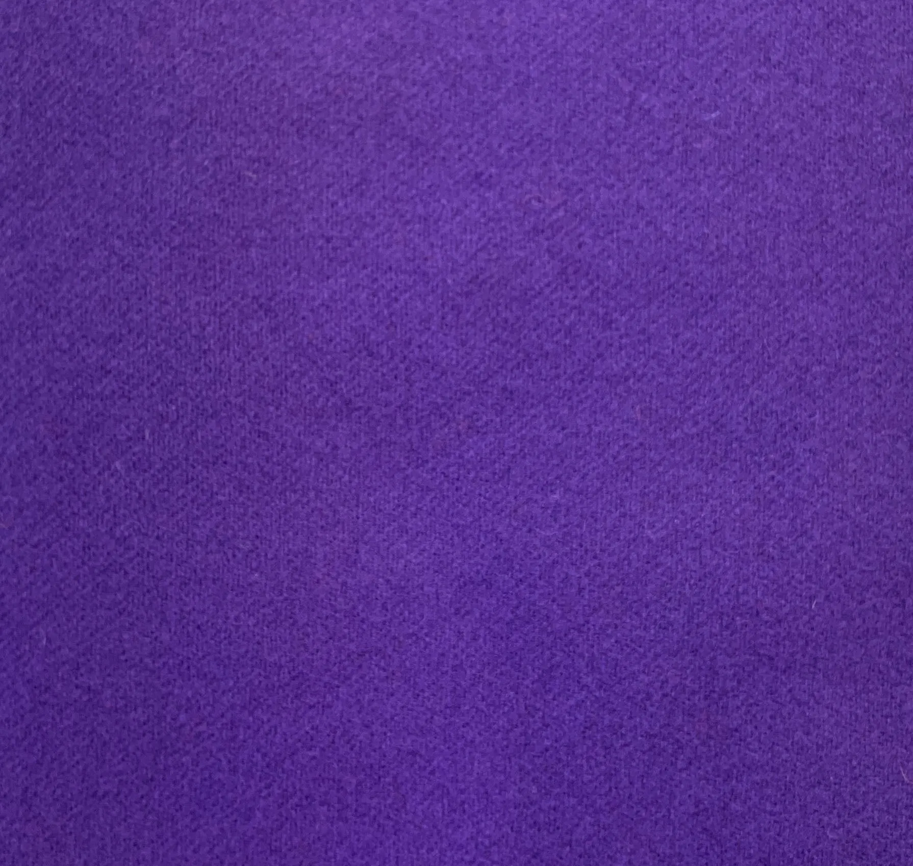 Bright Purple
