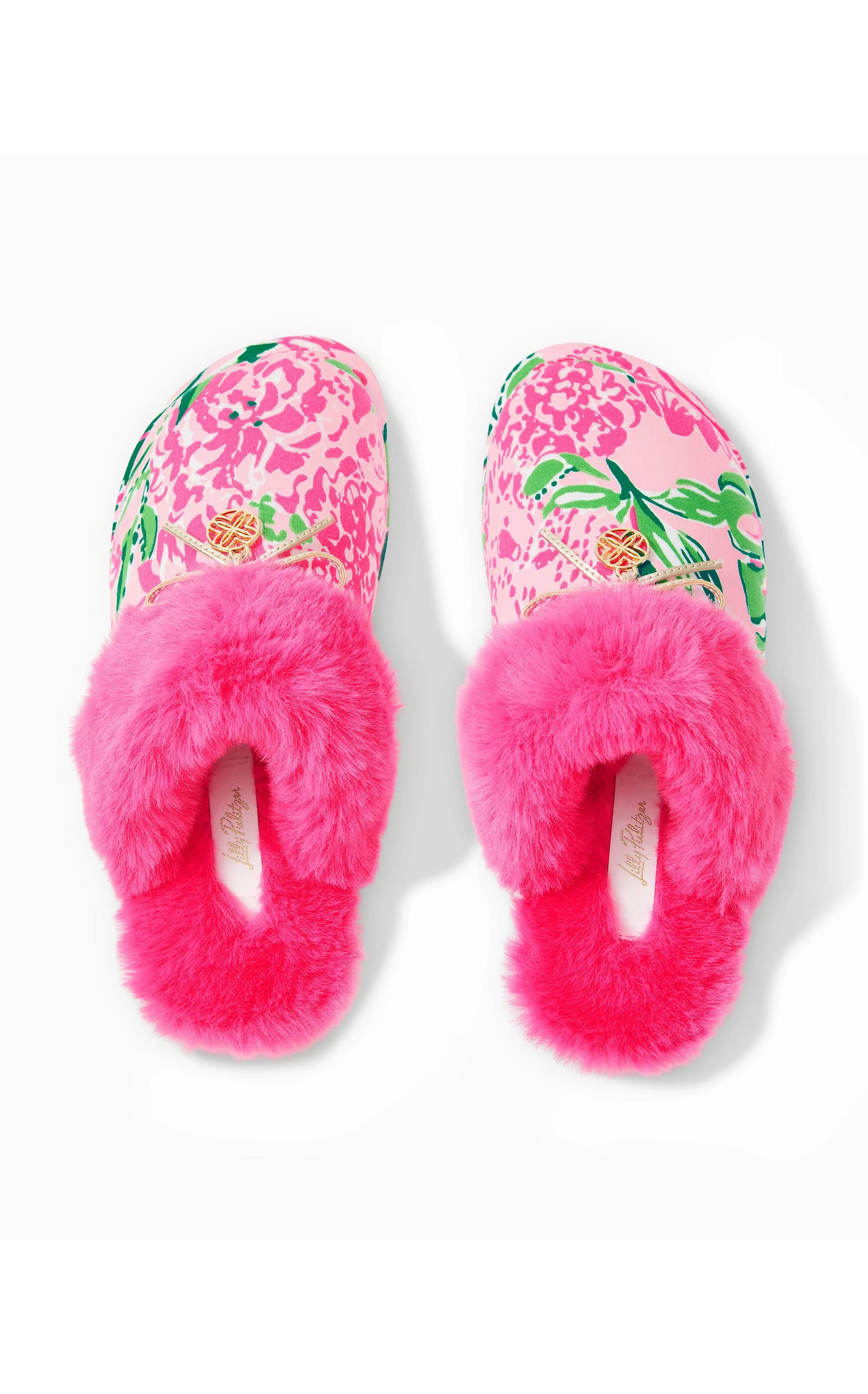 Harte Bow Slipper Koala La La