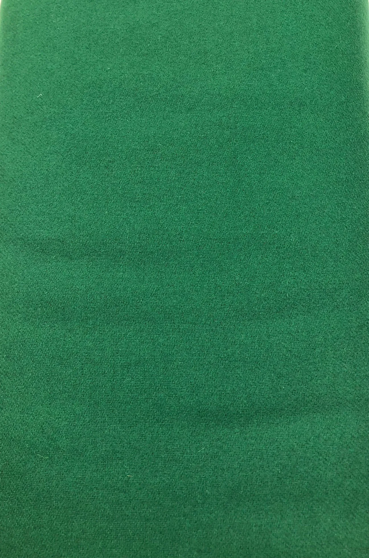 Holiday Green