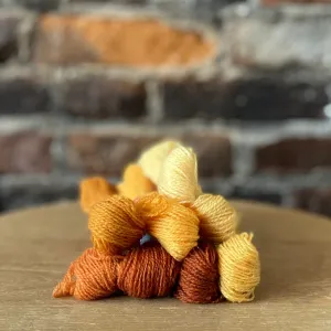 Individual Appletons Crewel Wool Skeins from the Autumn Yellow Colorway