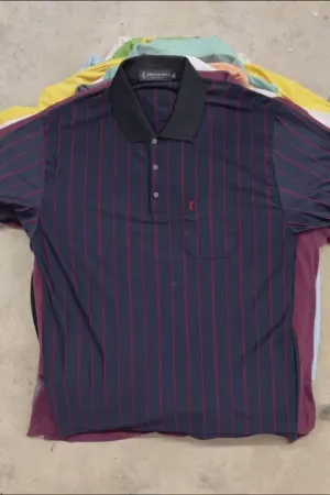 Vintage Branded Polo Shirts Bundle (30 pcs)